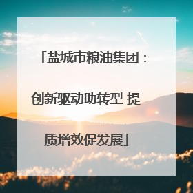 盐城市粮油集团：创新驱动助转型 提质增效促发展