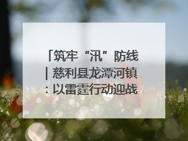 筑牢“汛”防线｜慈利县龙潭河镇：以雷霆行动迎战暴雨洪峰