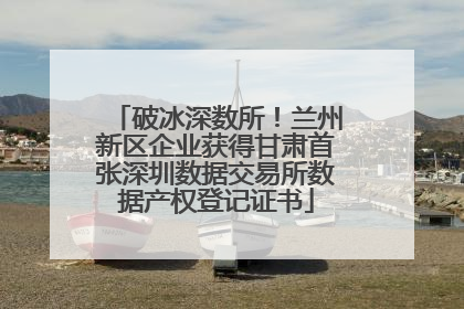 破冰深数所！兰州新区企业获得甘肃首张深圳数据交易所数据产权登记证书