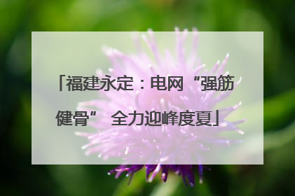 福建永定：电网“强筋健骨” 全力迎峰度夏