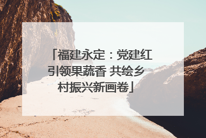 福建永定：党建红引领果蔬香 共绘乡村振兴新画卷