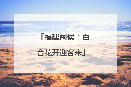 福建闽侯：百合花开迎客来