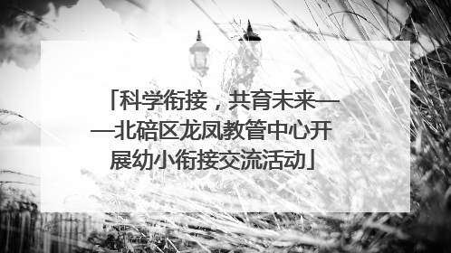 科学衔接，共育未来——北碚区龙凤教管中心开展幼小衔接交流活动