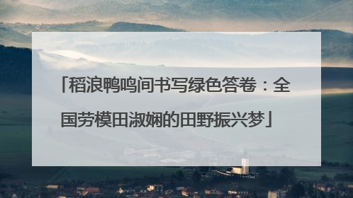 稻浪鸭鸣间书写绿色答卷：全国劳模田淑娴的田野振兴梦