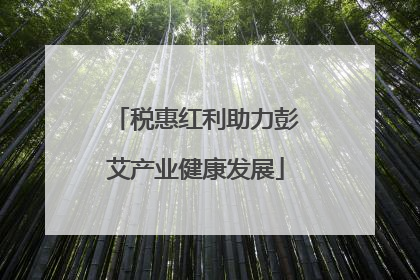 税惠红利助力彭艾产业健康发展