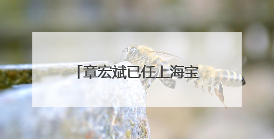 章宏斌已任上海宝山区政协党组成员