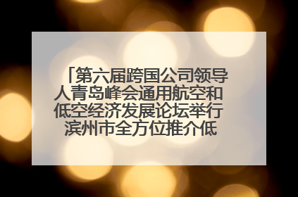 第六届跨国公司领导人青岛峰会通用航空和低空经济发展论坛举行 滨州市全方位推介低空经济发展优势