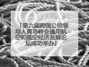 第六届跨国公司领导人青岛峰会通用航空和低空经济发展论坛成功举办