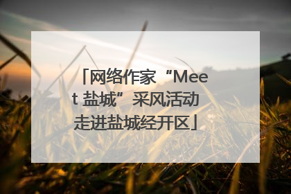 网络作家“Meet 盐城”采风活动走进盐城经开区