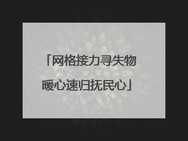 网格接力寻失物 暖心速归抚民心