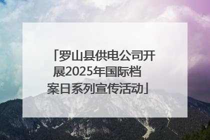 罗山县供电公司开展2025年国际档案日系列宣传活动