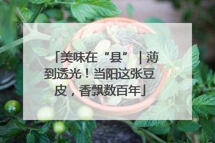 美味在“县”｜薄到透光！当阳这张豆皮，香飘数百年
