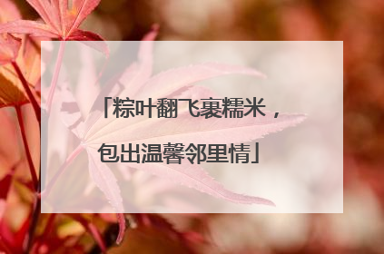 粽叶翻飞裹糯米，包出温馨邻里情