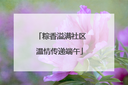 粽香溢满社区 温情传递端午