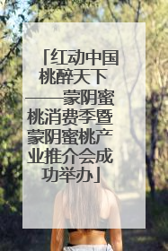 红动中国 桃醉天下——蒙阴蜜桃消费季暨蒙阴蜜桃产业推介会成功举办