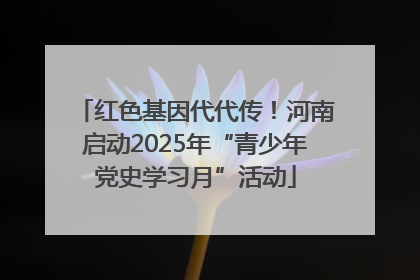 红色基因代代传！河南启动2025年“青少年党史学习月”活动
