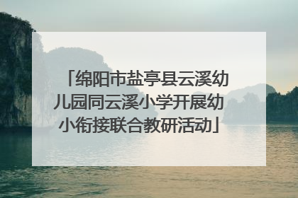 绵阳市盐亭县云溪幼儿园同云溪小学开展幼小衔接联合教研活动