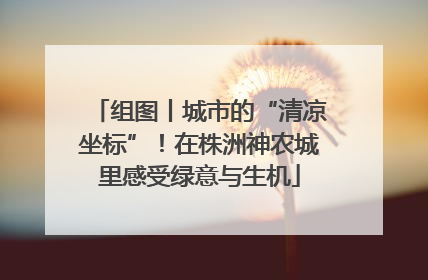 组图丨城市的“清凉坐标”！在株洲神农城里感受绿意与生机
