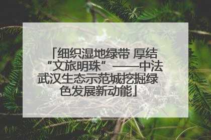 细织湿地绿带 厚结“文旅明珠”——中法武汉生态示范城挖掘绿色发展新动能