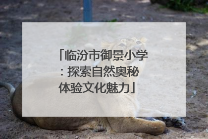 临汾市御景小学：探索自然奥秘 体验文化魅力