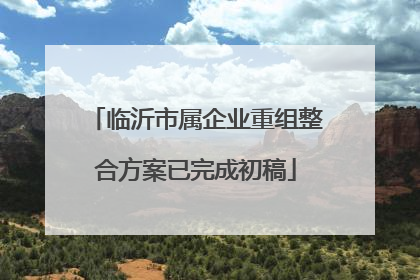 临沂市属企业重组整合方案已完成初稿