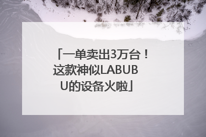 一单卖出3万台！这款神似LABUBU的设备火啦