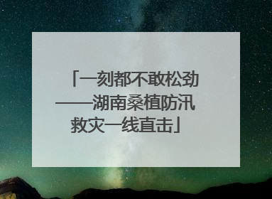 一刻都不敢松劲——湖南桑植防汛救灾一线直击