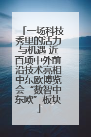 一场科技秀里的活力与机遇 近百项中外前沿技术亮相中东欧博览会“数智中东欧”板块