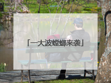 一大波螳螂来袭