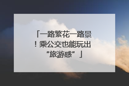 一路繁花一路景！乘公交也能玩出“旅游感”