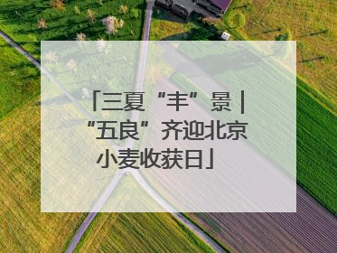 三夏“丰”景｜“五良”齐迎北京小麦收获日