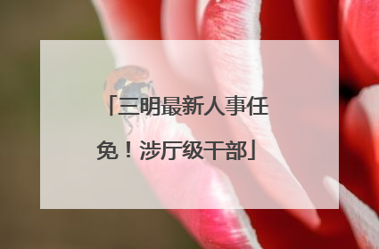三明最新人事任免！涉厅级干部