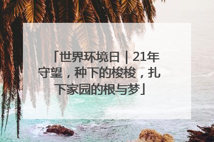 世界环境日｜21年守望，种下的梭梭，扎下家园的根与梦