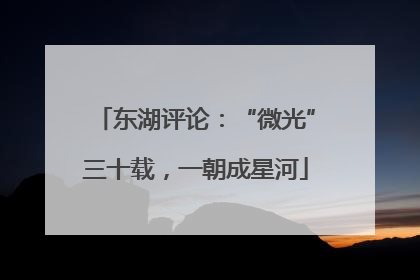 东湖评论：“微光”三十载，一朝成星河