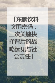 东鹏饮料突围密码：三次关键抉择背后的战略远见与社会责任