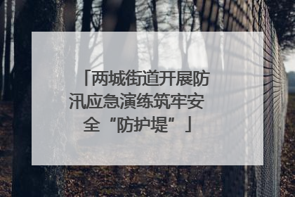 两城街道开展防汛应急演练筑牢安全“防护堤”
