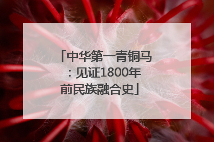 中华第一青铜马：见证1800年前民族融合史