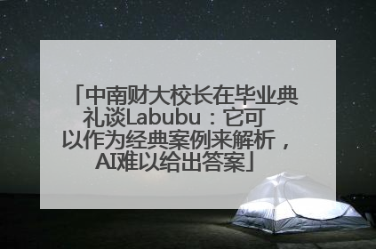 中南财大校长在毕业典礼谈Labubu：它可以作为经典案例来解析，AI难以给出答案