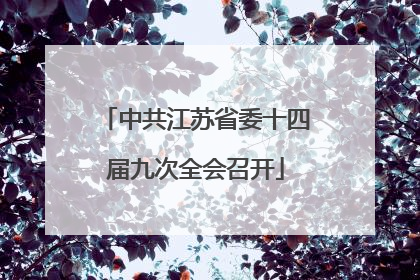 中共江苏省委十四届九次全会召开