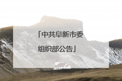 中共阜新市委组织部公告
