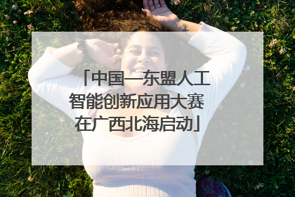 中国—东盟人工智能创新应用大赛在广西北海启动