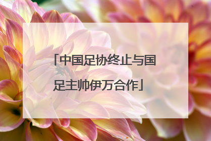 中国足协终止与国足主帅伊万合作