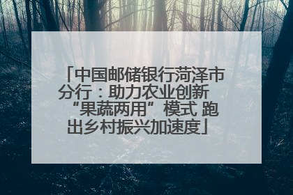 中国邮储银行菏泽市分行：助力农业创新 “果蔬两用”模式 跑出乡村振兴加速度