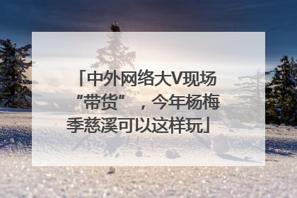 中外网络大V现场“带货”，今年杨梅季慈溪可以这样玩
