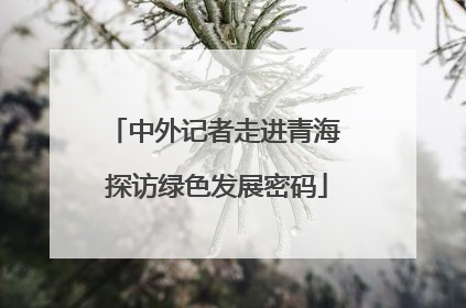 中外记者走进青海 探访绿色发展密码