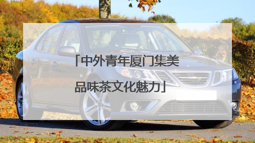 中外青年厦门集美品味茶文化魅力