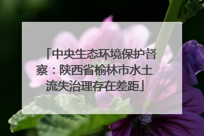 中央生态环境保护督察：陕西省榆林市水土流失治理存在差距