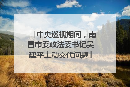 中央巡视期间，南昌市委政法委书记吴建平主动交代问题
