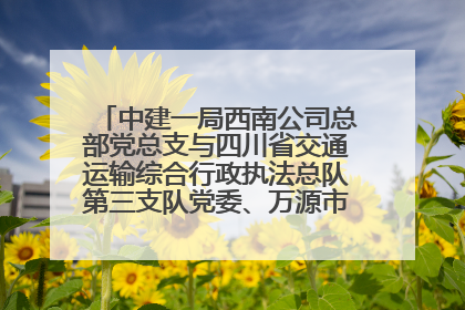 中建一局西南公司总部党总支与四川省交通运输综合行政执法总队第三支队党委、万源市草坝镇莲花院村党支部开展党建联建