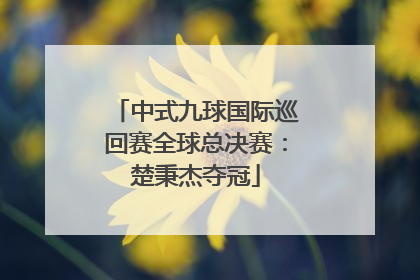 中式九球国际巡回赛全球总决赛：楚秉杰夺冠